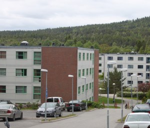 Fjellbirkeland studentby