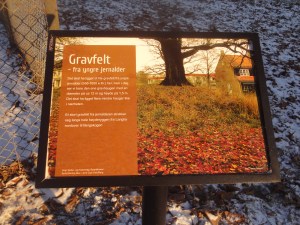 Ved Langlia er det rester av et gravfelt fra yngre jernalder.
