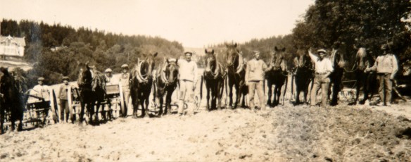 Dette bildet fra våronna på Nordberg gård i 1919 er ett av bildene i Sogn kultur- og historielags billedbase. Foto: Carl Carsten Lilloe.