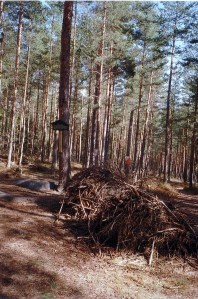 Kastegraven ved Svenskemuren