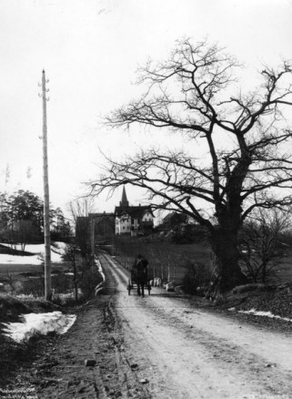 Sognsvannsveien-Wilse